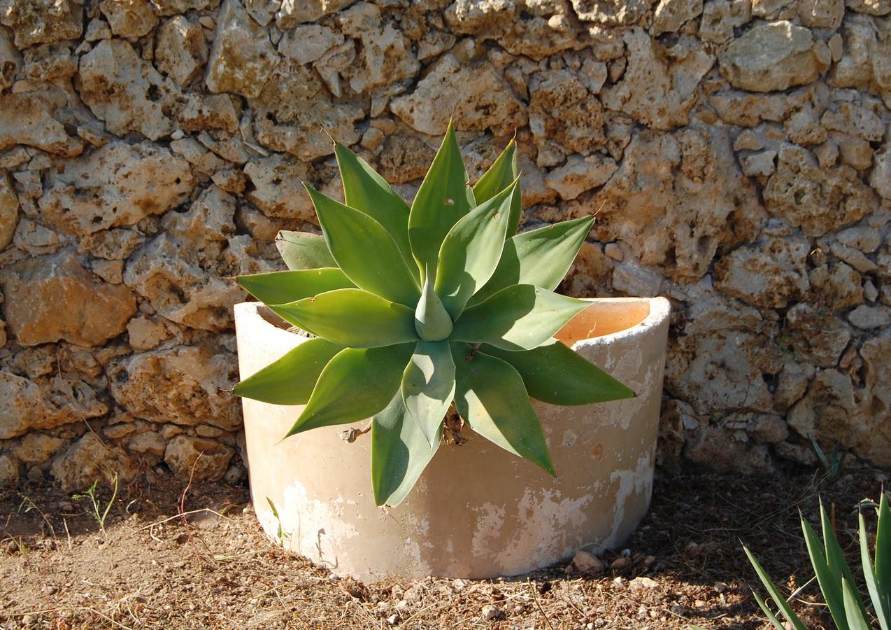 Mood Farmhouse Mythology Gharb  Luaran gambar