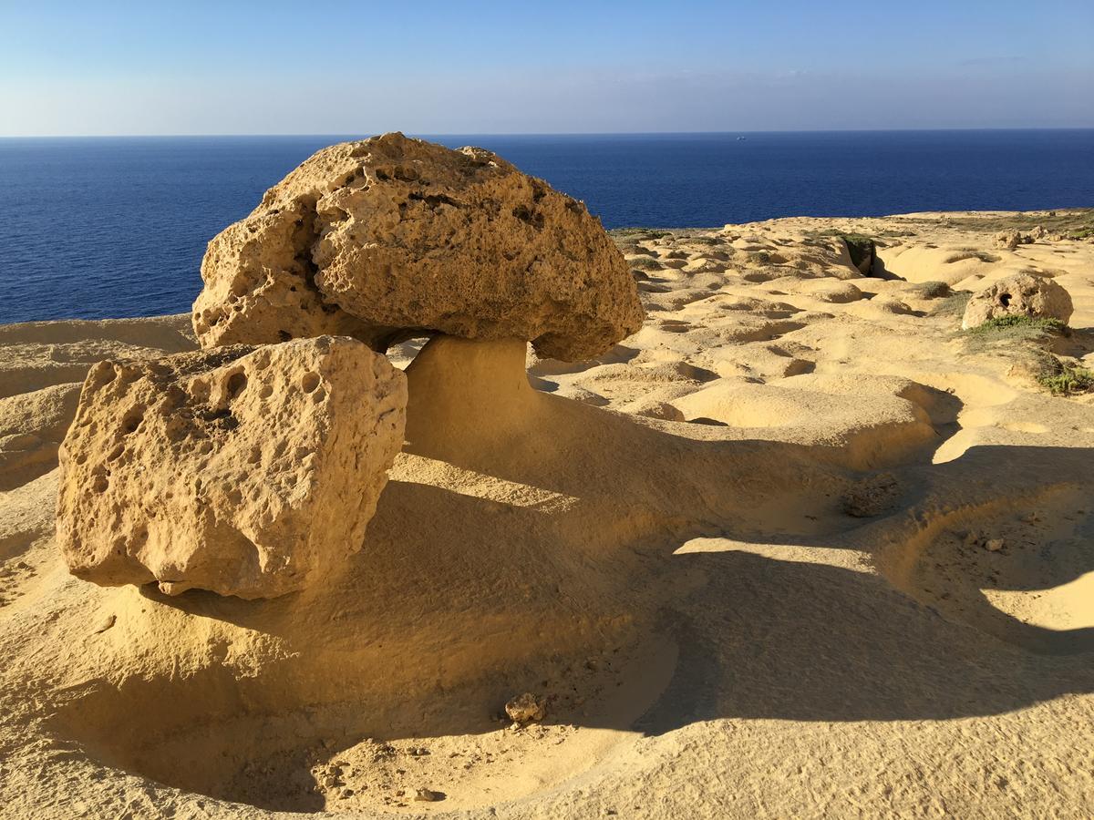 Mood Farmhouse Mythology Gharb  Luaran gambar